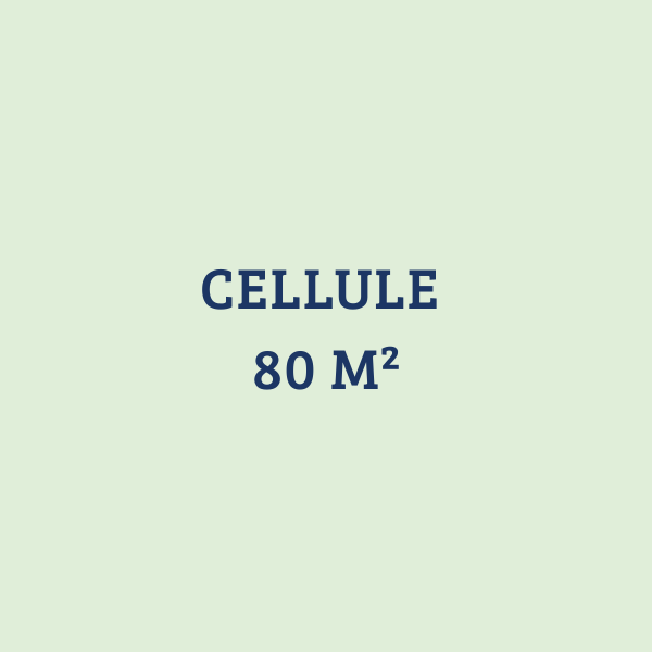CARRE_SITE_cellule_47.png